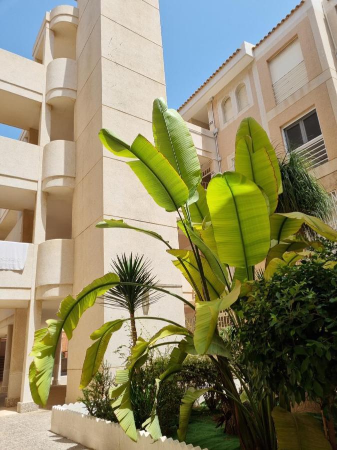 Апартаменти Flamenco Penthouse Sea View & Swimming Pool Торрев'єха Екстер'єр фото