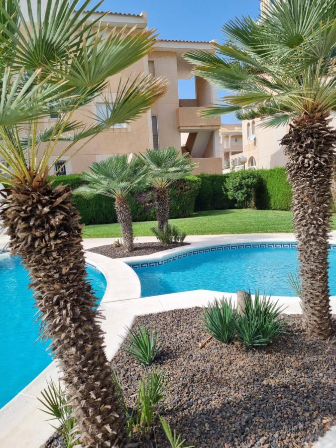 Апартаменти Flamenco Penthouse Sea View & Swimming Pool Торрев'єха Екстер'єр фото