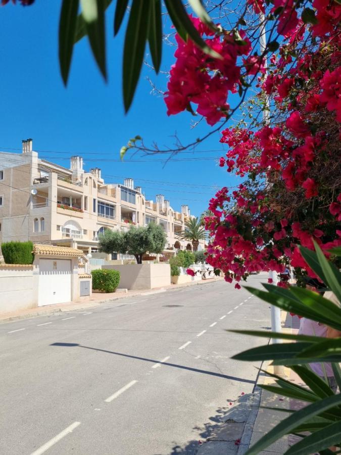 Апартаменти Flamenco Penthouse Sea View & Swimming Pool Торрев'єха Екстер'єр фото